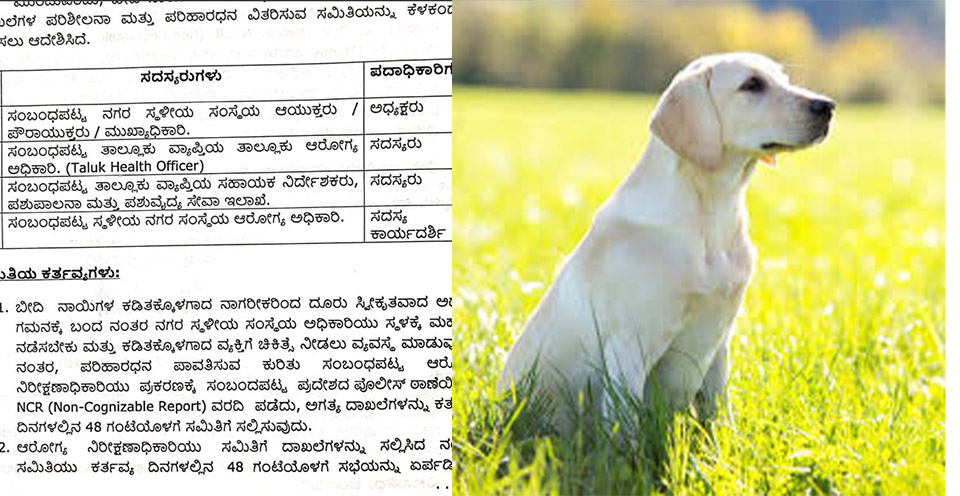 ನಾಯಿ ದಾಳಿ ಪ್ರಕರಣ; ಪರಿಹಾರ ಕುರಿತು ಅಧಿಕಾರಿಗಳ `ಮೌನ’ ಸಾರ್ವಜನಿಕರ ಅಸಮಾಧಾನ..!!